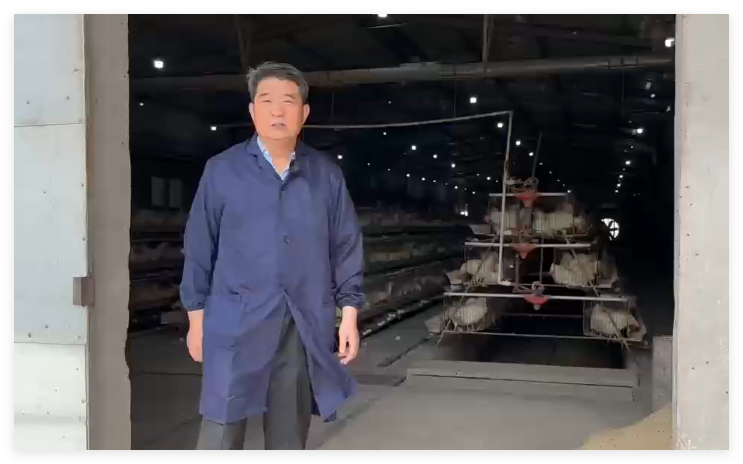 Cyromazine Soluble Powder - Fly Maggot Control