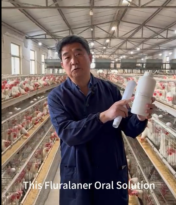 1% Fluralaner Solution